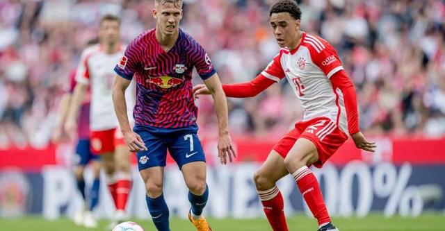 焦点大战：游泳上演巅峰碰撞的简单介绍