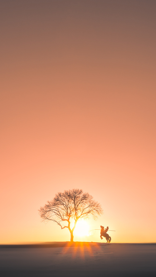 独行侠第三节三分雨浇灭国王！布克末节19分亲手终结悬念