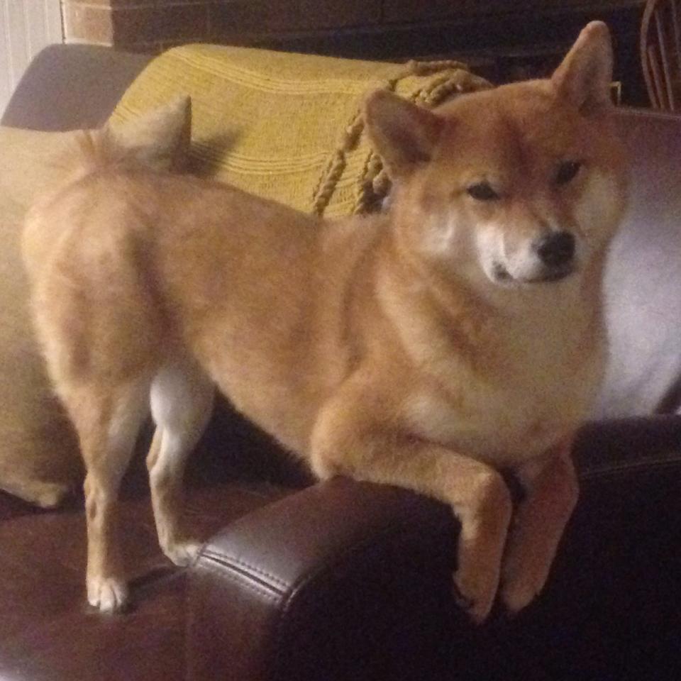 后仰,当硬仗之王遇见压哨的青铜古镜