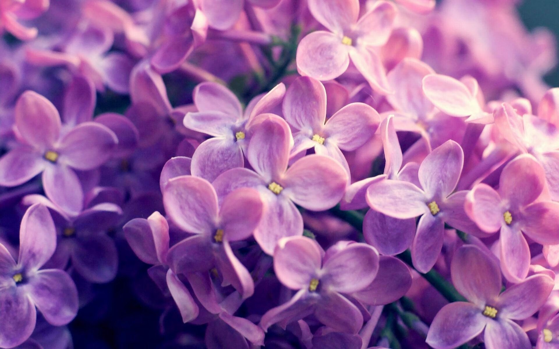 本泽马的终极答案，2026世界杯之夜，一名前锋的完美诠释