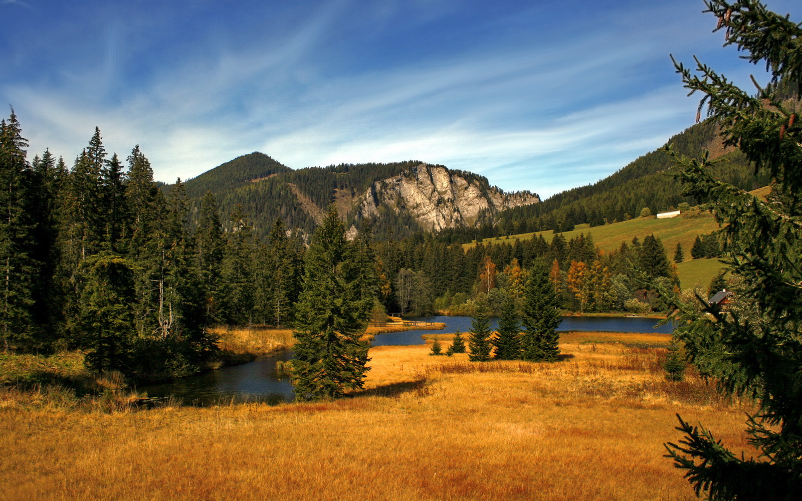 惊魂与冷静，阿尔及利亚淘汰赛过关马里，罗德里成为关键先生