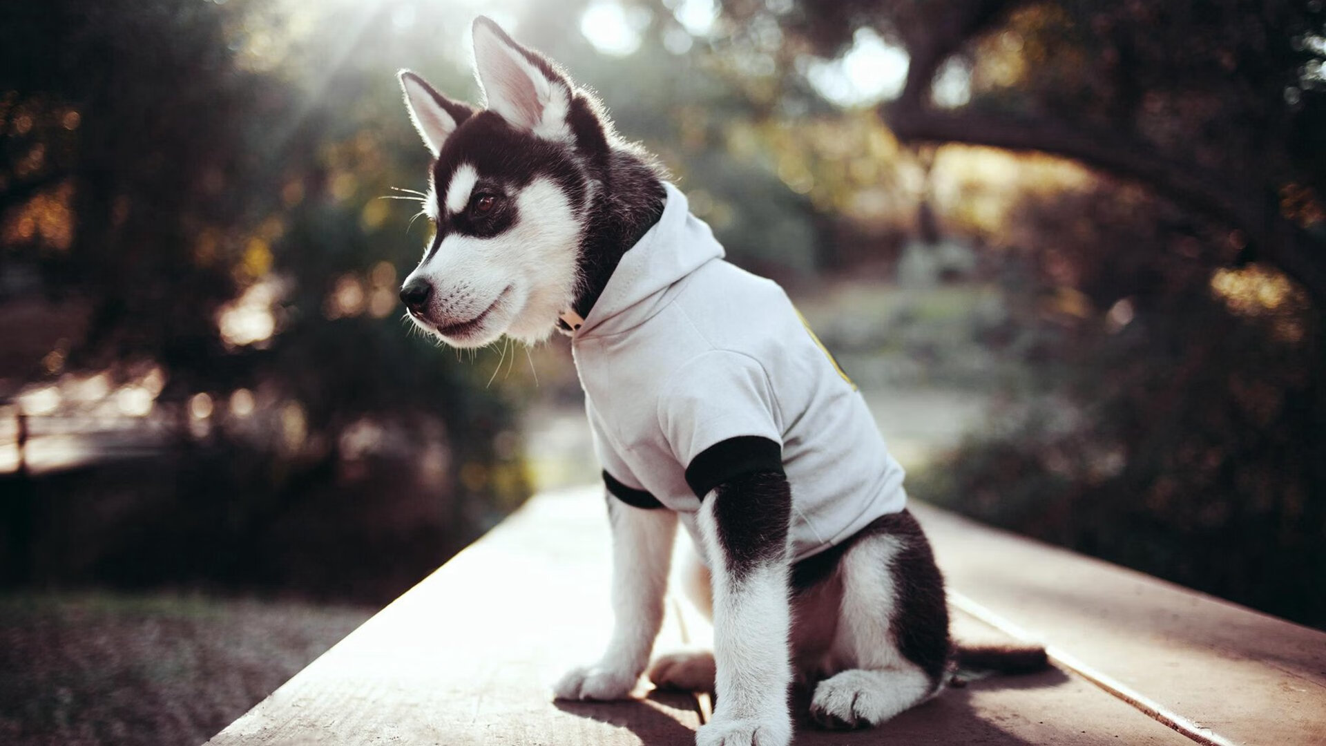 孤胆协奏曲，乔治激活全队心跳，浙江爆冷掀翻天山堡垒