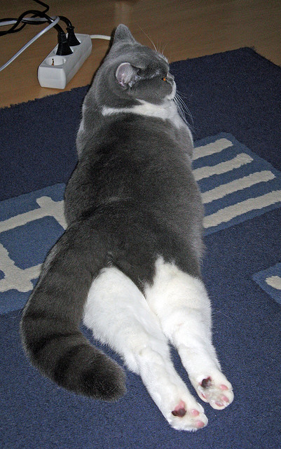 独舞于龙虎山，爱德华兹50分凿穿广厦铁壁，黄蜂客场掀起风暴