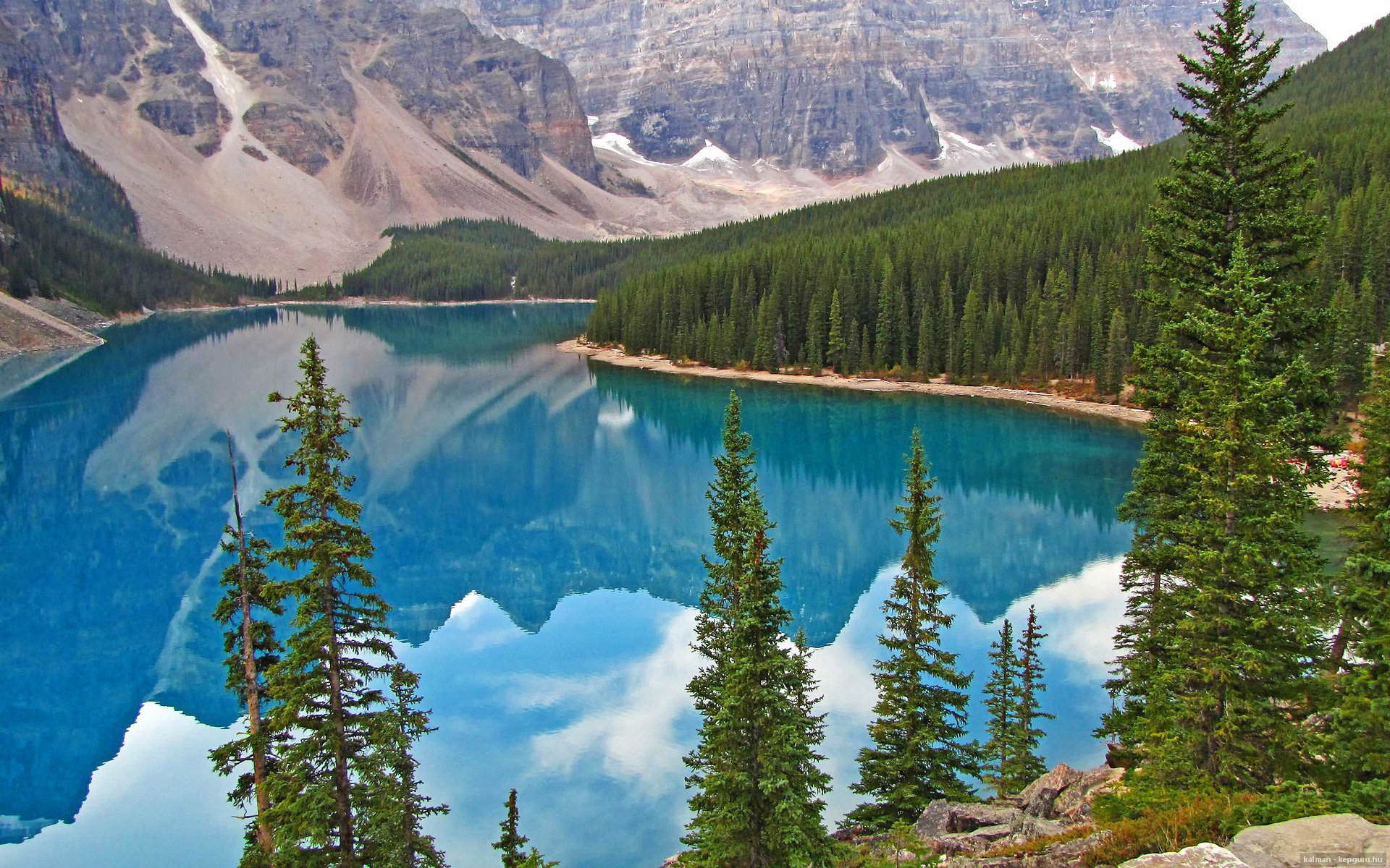 街道围猎场，当莱奥在夜色中踩下杀戮油门