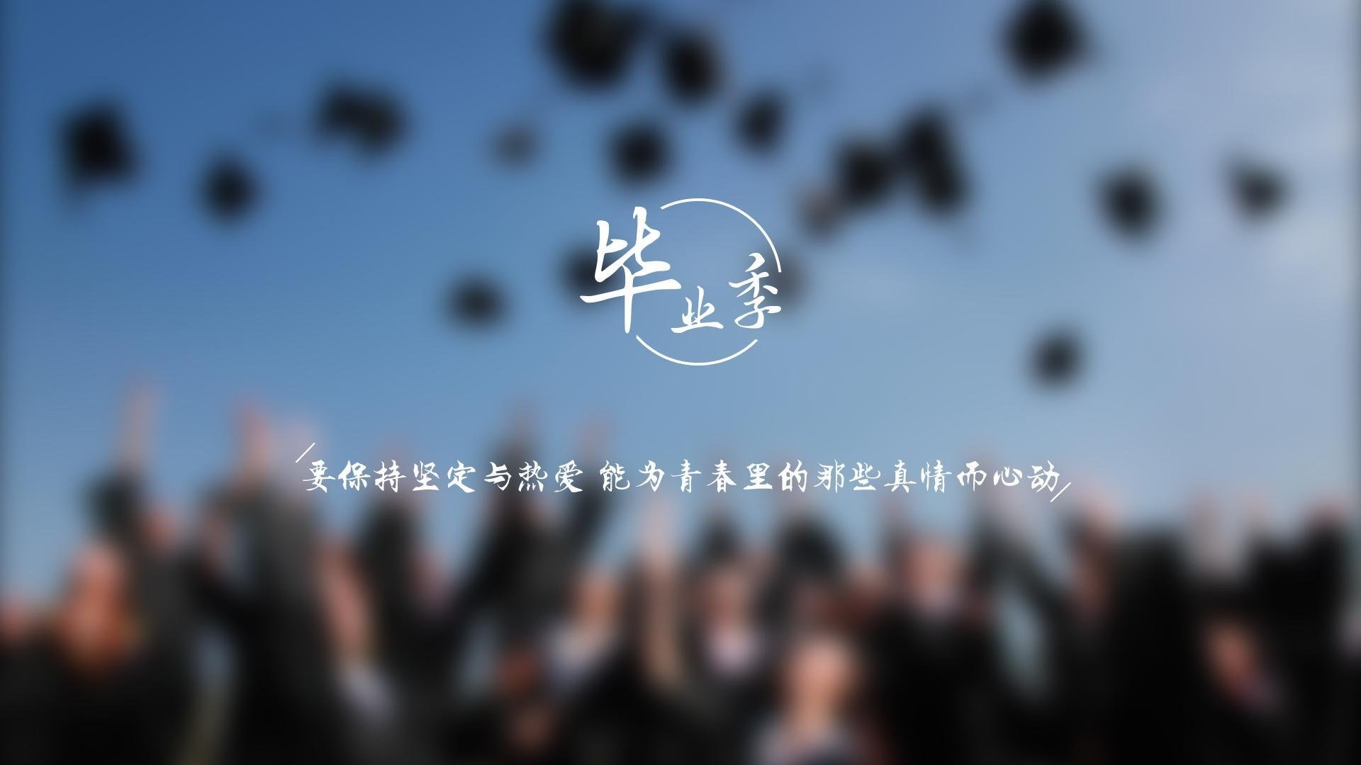 双星闪耀时,两个霍勒迪,两种接管的狂想