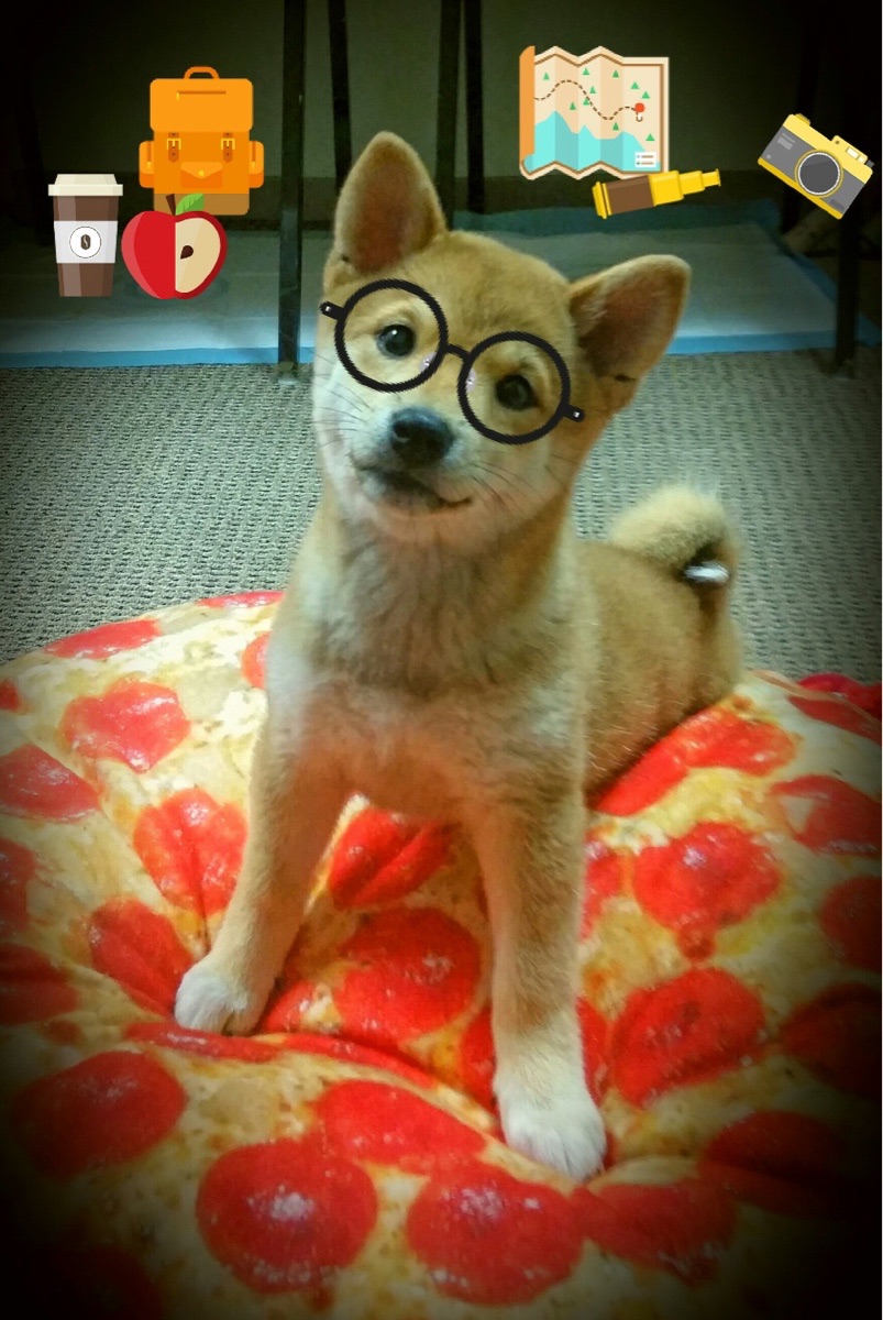 一哨定天山，保罗致命造犯规，新疆隔空终结森林狼悬念