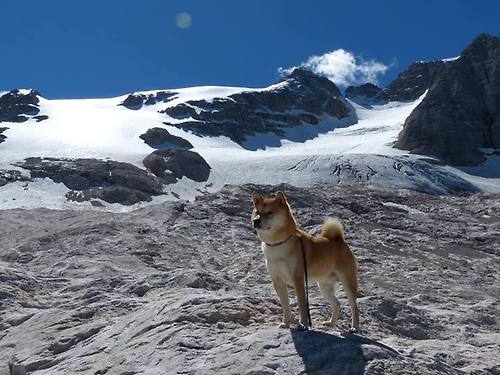 夜魔觉醒!布鲁诺3连斩粉碎卫冕冠军,悬念一夜拉大?
