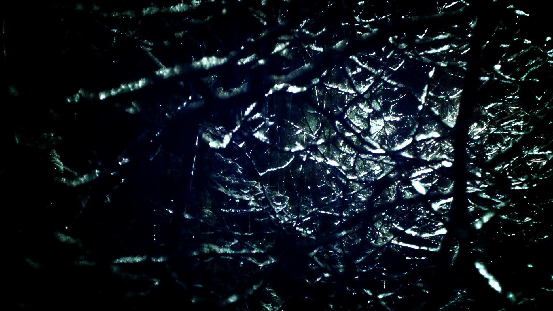 赛道与绿茵的共鸣，顶级竞技的掌控艺术