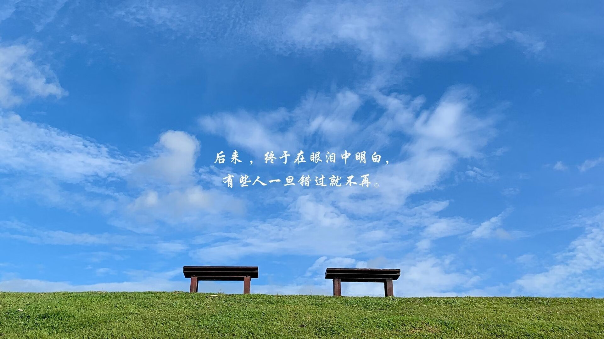 铁幕之下,暗刃无声,当萨卡成为智利队唯一的非对称武器