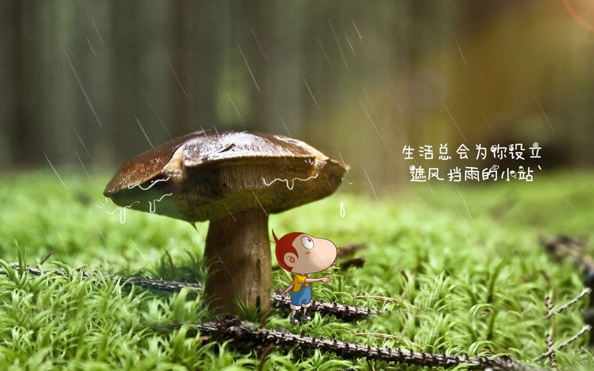 那一天，足球的剧本改了国籍，2026世界杯德加之战如何用一记桑巴弧线击碎日耳曼的钢铁防线