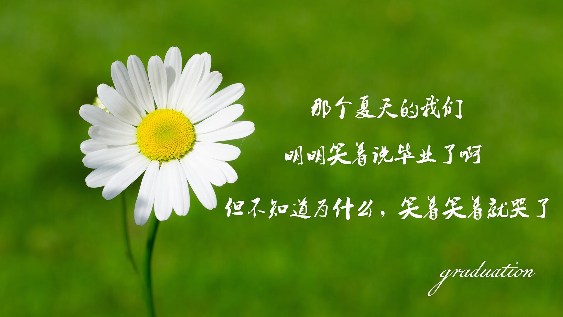 B组惊雷，日本狂胜葡萄牙，哈兰德独造四球宣告新王登基