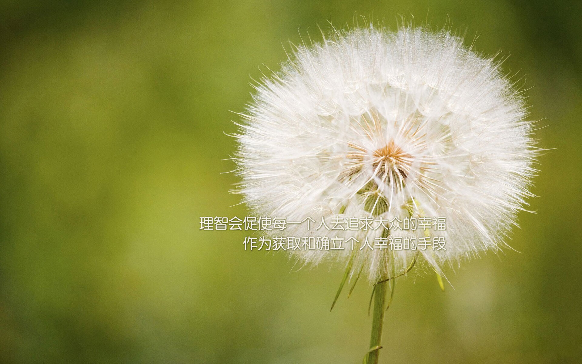 莱比锡的暗夜独行侠，努涅斯与葡萄牙那场不被看见的胜利